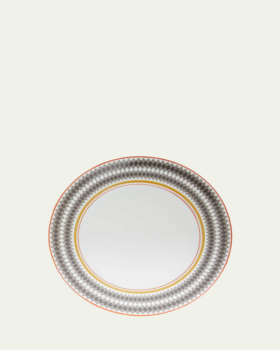 Evolucion Dinner Plates, Set of 4
